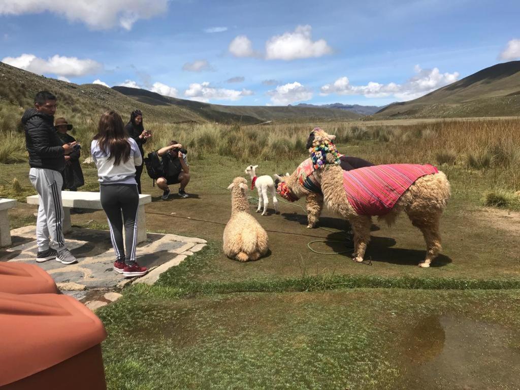 Amazing Huaraz Bed & Breakfast Luaran gambar