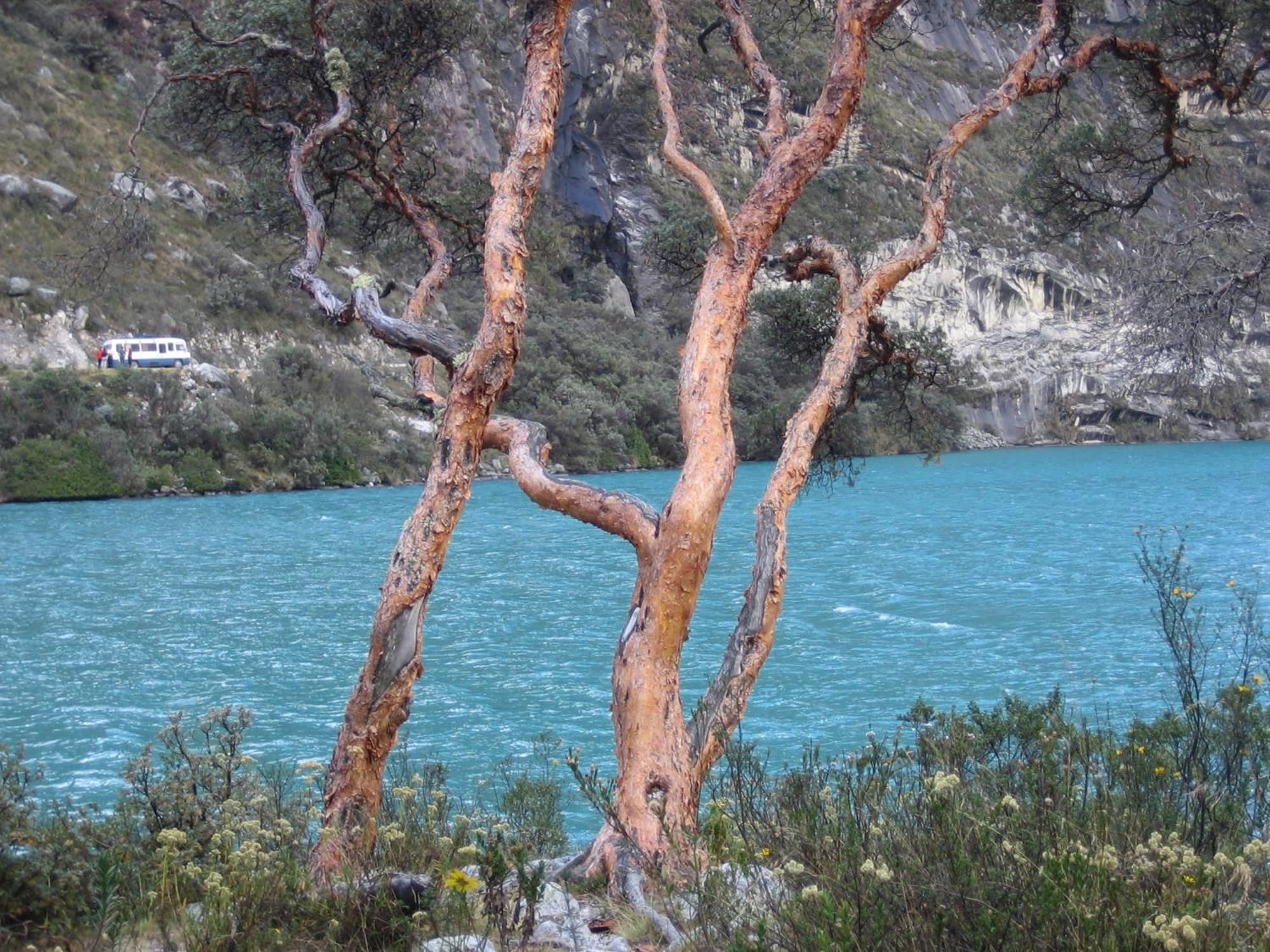 Amazing Huaraz Bed & Breakfast Luaran gambar